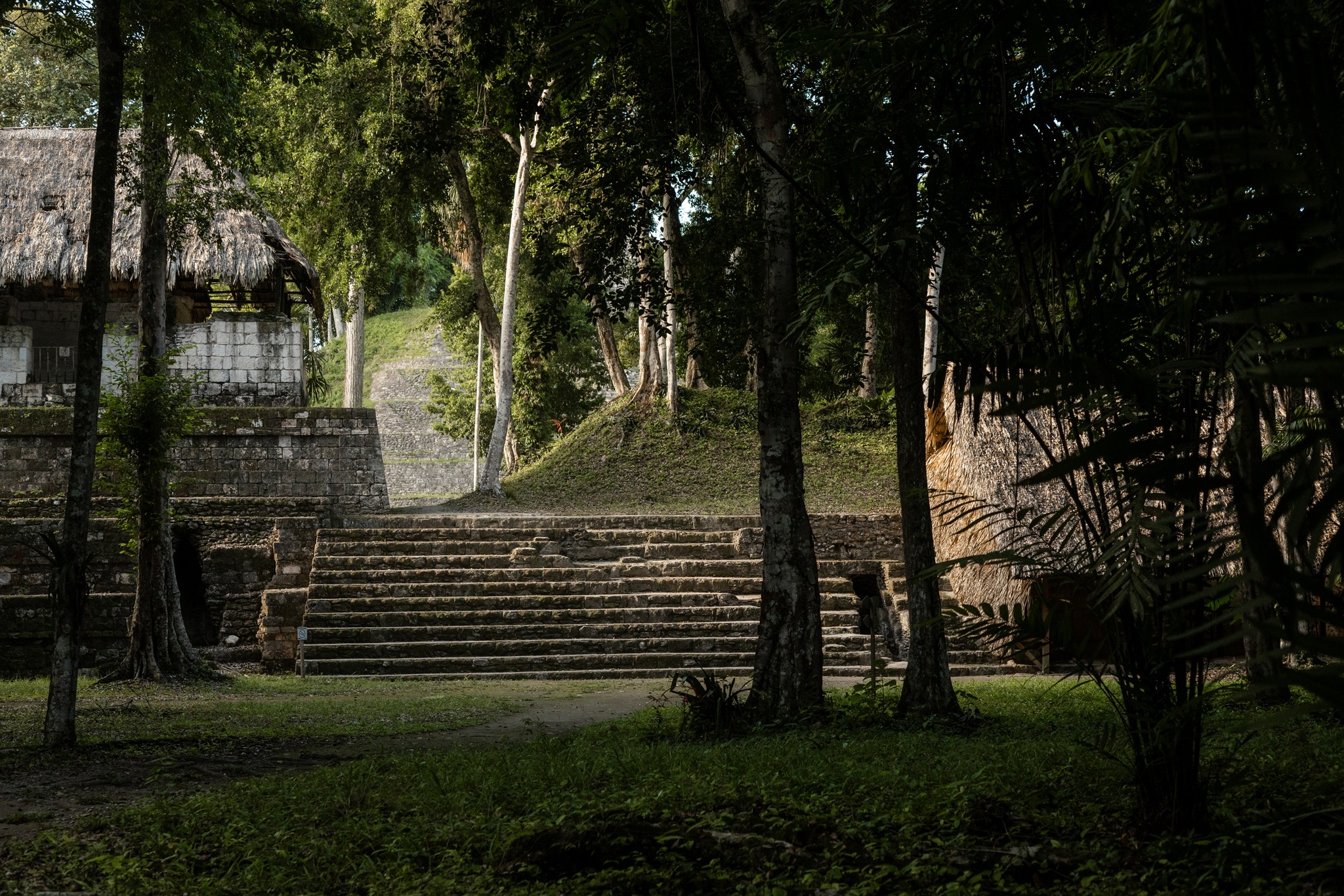 Reunión estratégica fortalece acciones para la conservación de la Gran Selva Maya
