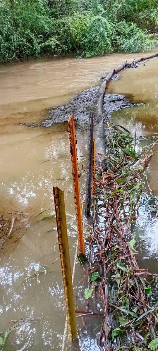 MARN presenta denuncia por derrame de petróleo en río San Román