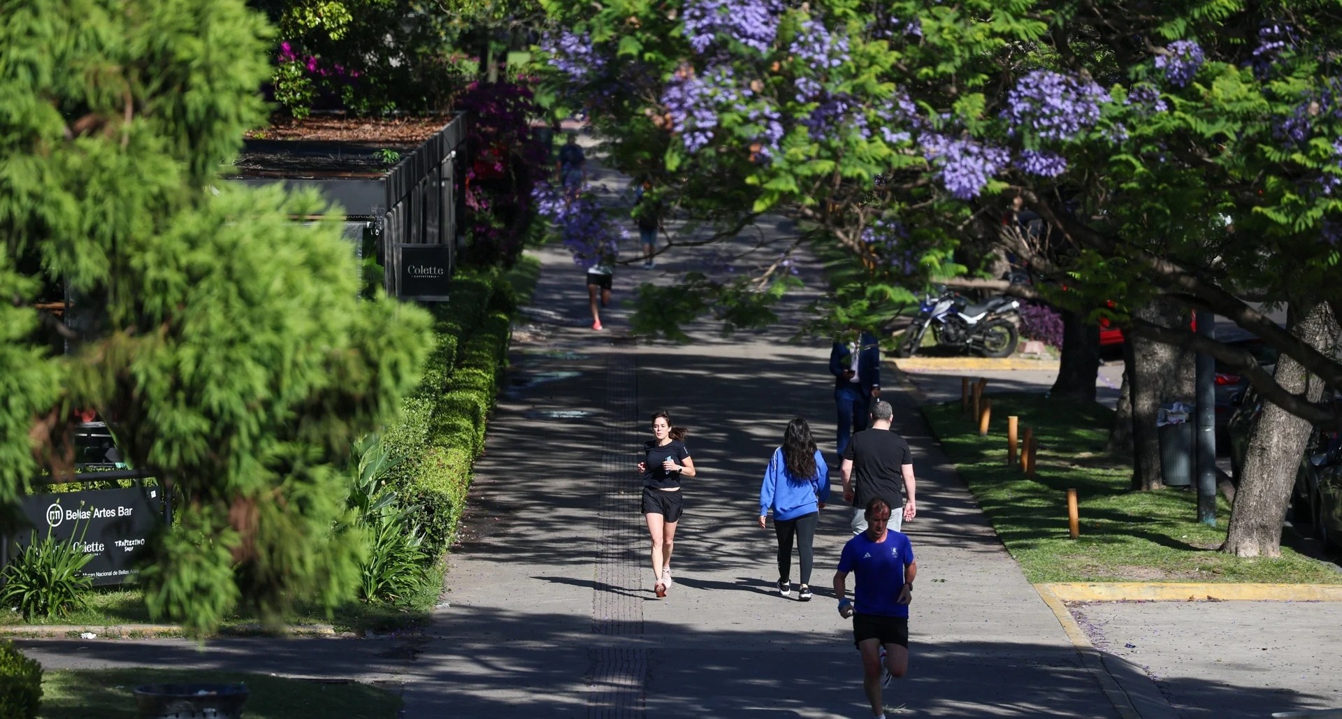 Solo 5 minutos más de actividad física reducen un 10 % el riesgo de mortalidad