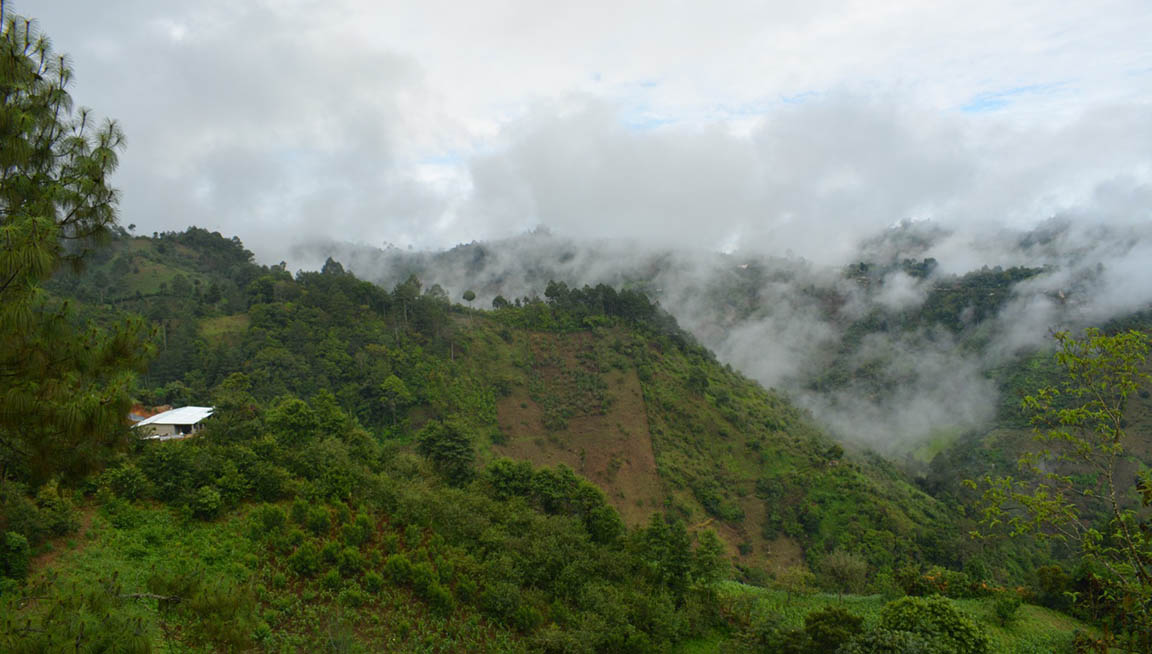 MAGA refuerza monitoreo climatológico en 173 municipios ante riesgos de heladas