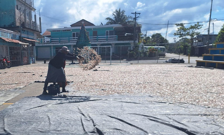 MAGA inicia monitoreo biológico de la manjúa en Puerto Barrios