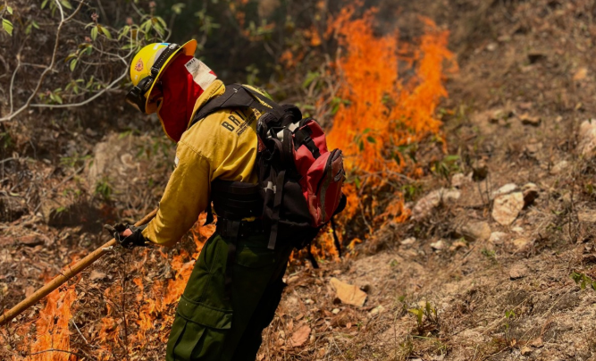 Conred lanza campaña Alto al Fuego para prevenir incendios forestales