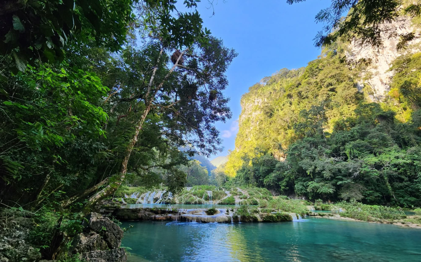 Así se robusteció la protección a la flora y fauna guatemaltecas en 2025