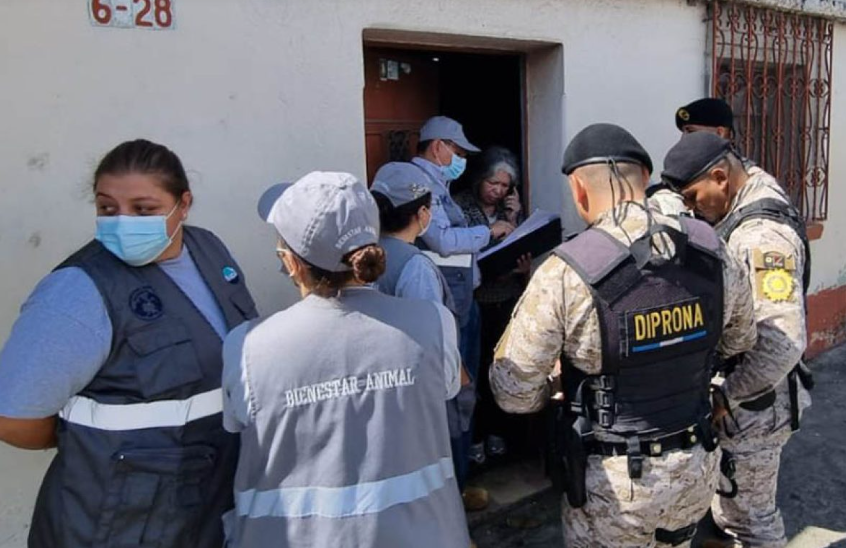 MAGA recuerda sanciones por maltrato animal y llama a la tenencia responsable