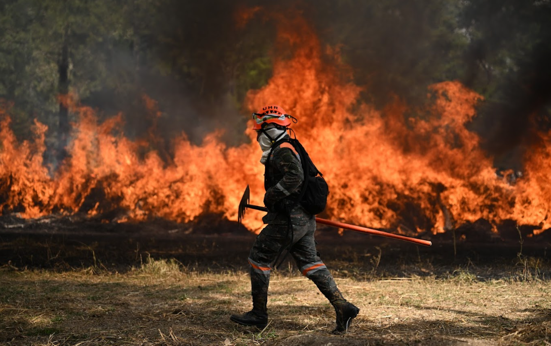 Más de 30 incendios impactaron 167 hectáreas en lo que va de 2026