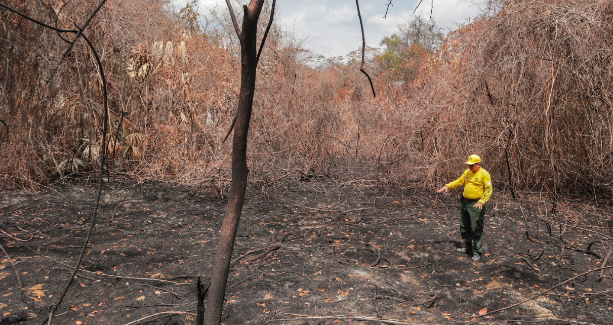 ¡No es el fuego, eres tú! Conap lanza campaña nacional para prevenir incendios forestales