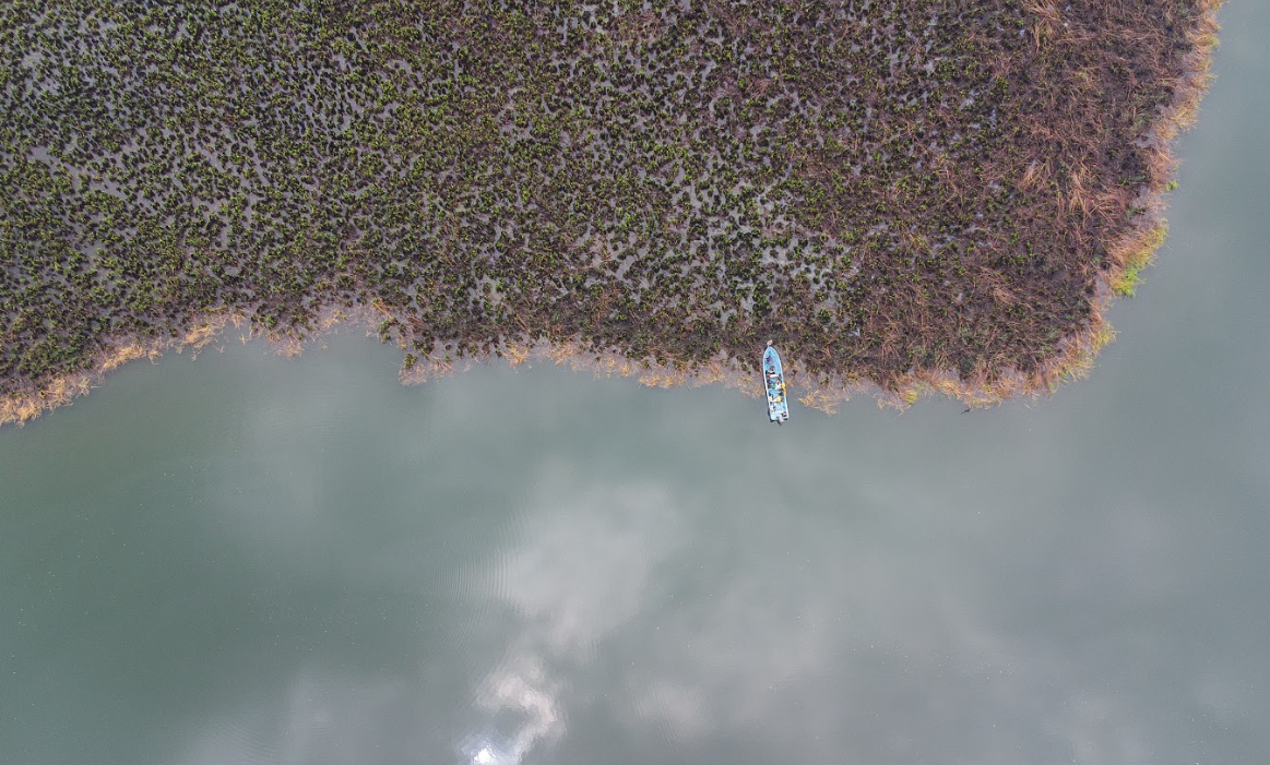 Incendios forestales disminuyeron más del 50 % durante 2025 tras el fortalecimiento institucional