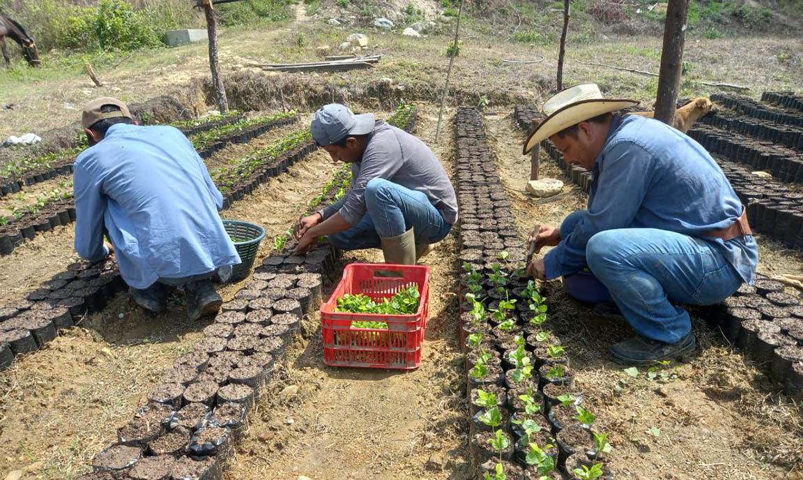 ENCA destaca logros del año para la formación de agrónomos profesionales