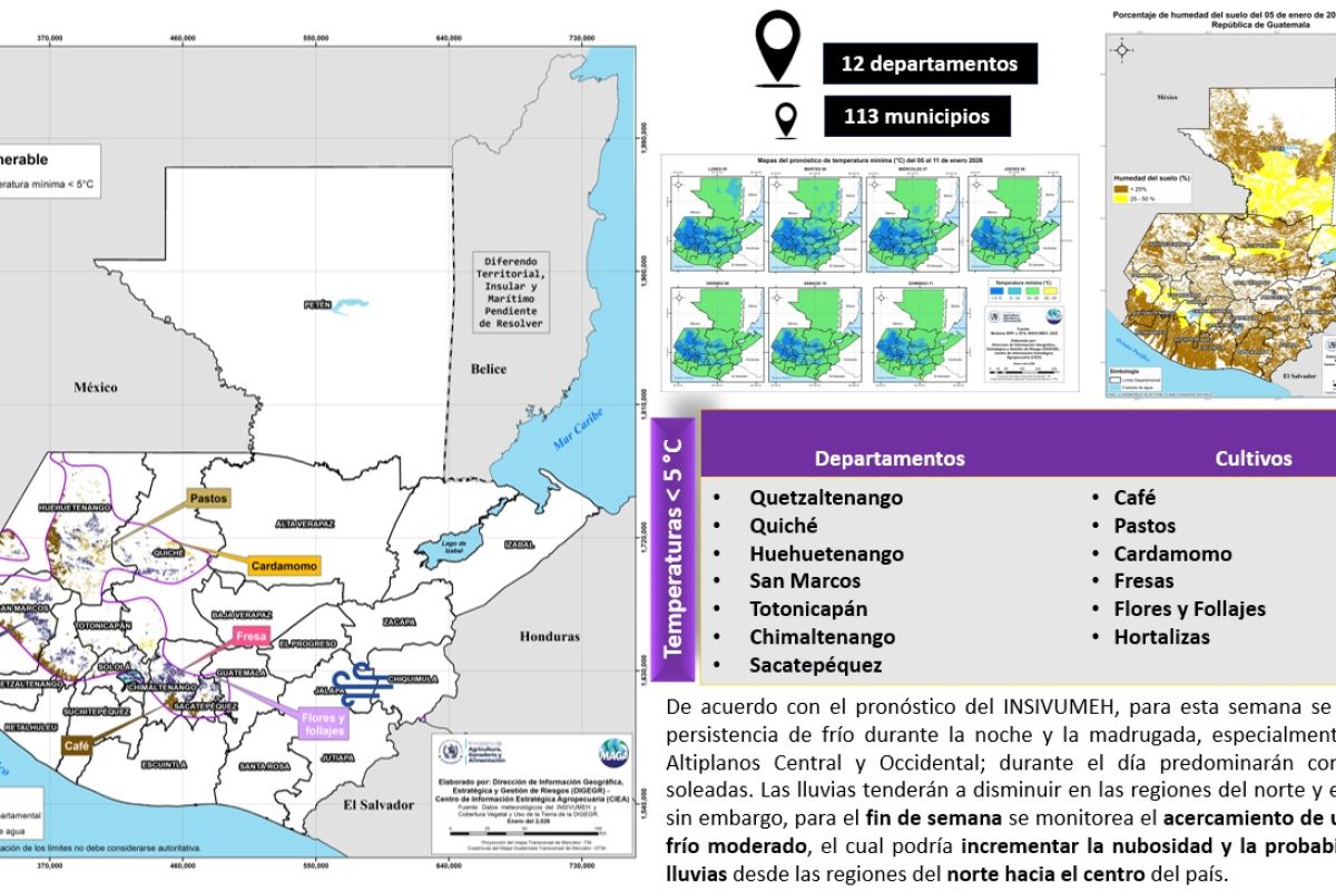 MAGA monitorea cultivos ante posible ingreso de un frente frío