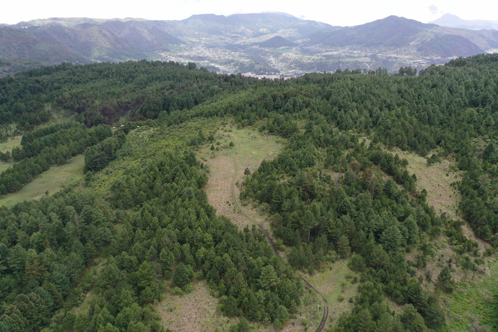 Programa de Reducción de Emisiones impulsa la mitigación del cambio climático en Guatemala