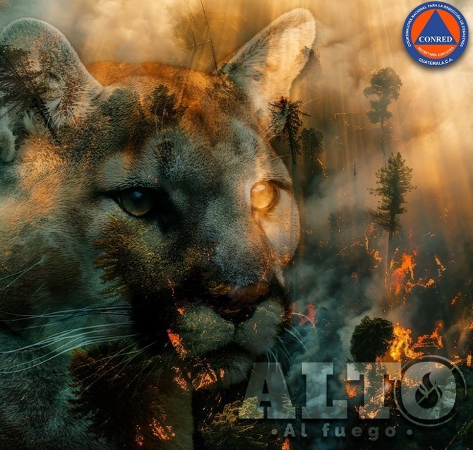 Compromiso para la prevención de incendios forestales en Zacapa