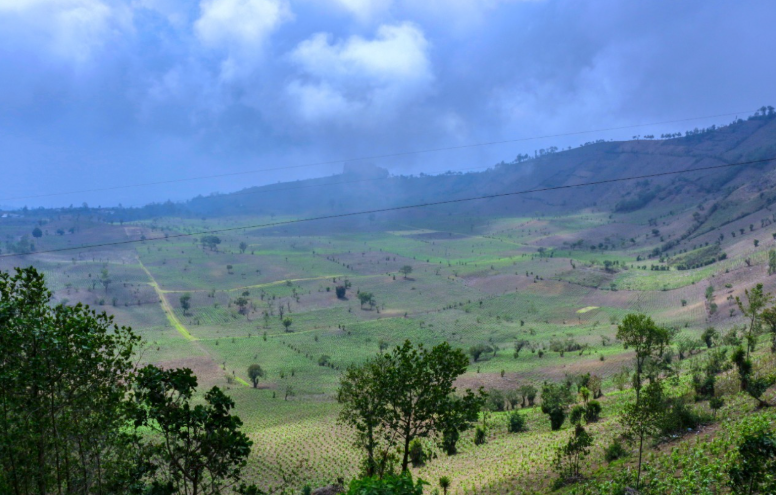 MAGA exhorta a productores a aplicar medidas preventivas ante persistencia del frío y vientos fuertes