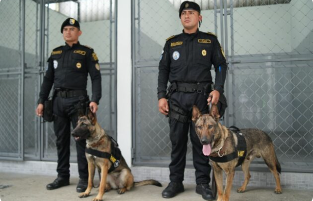 Xk’ut kiwach ri Fuerza de Tarea Rech katoq’axik ri b’anoj k’ayinem jastaqil ri’ / Presentan Fuerza de Tarea Para la Facilitación del Comercio