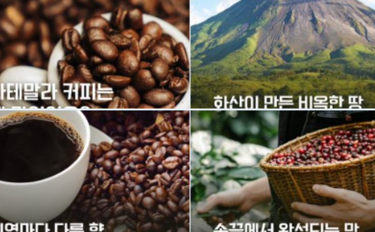 Impulsan el café de Guatemala en Corea, Dubái e Italia
