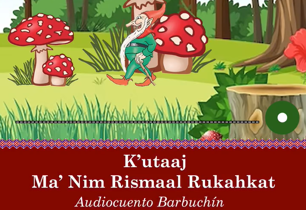 Comunidad Lingüística Poqomam promueve el idioma con contenido didáctico audiovisual traducido