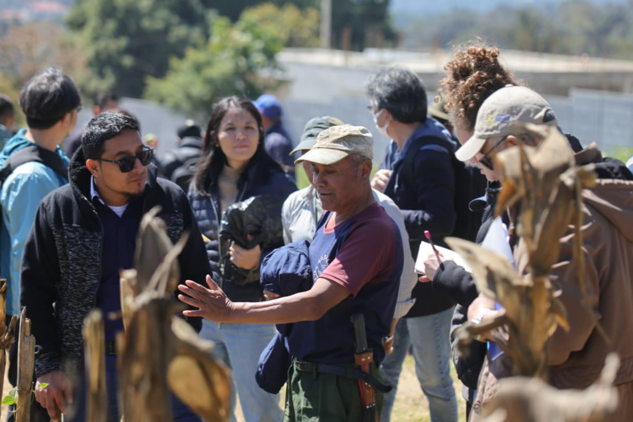 Agricultores guatemaltecos comparten su conocimiento a becarios internacionales