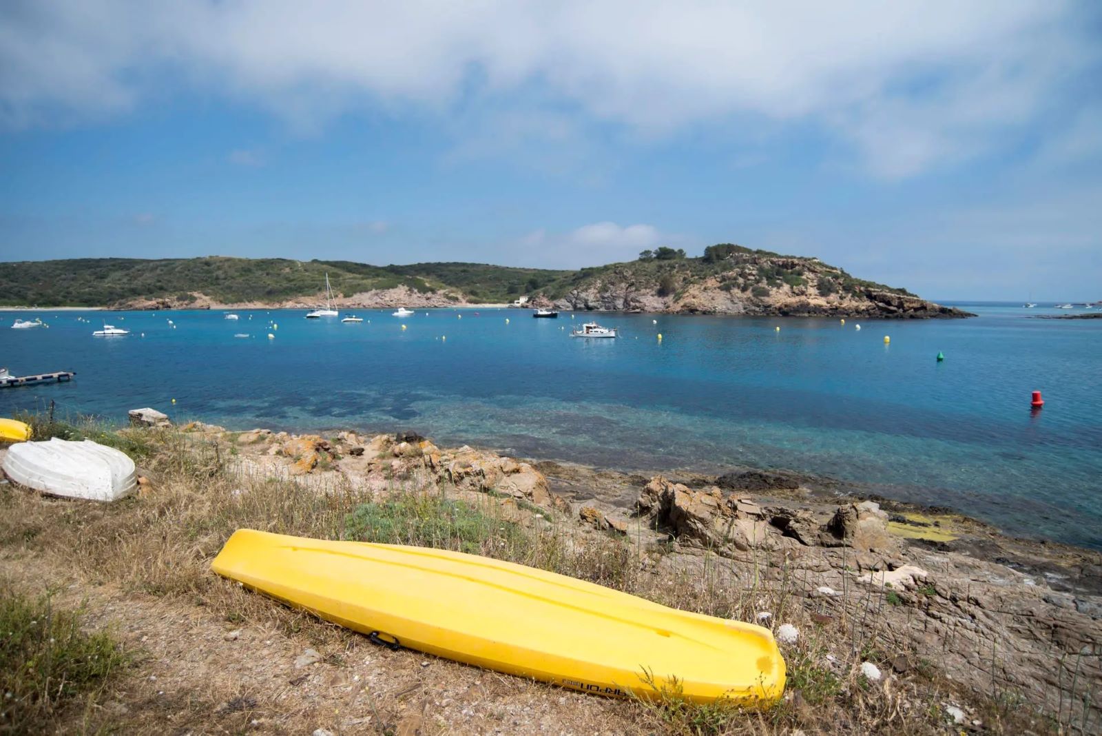 Un estudio revela la tropicalización del mar Mediterráneo
