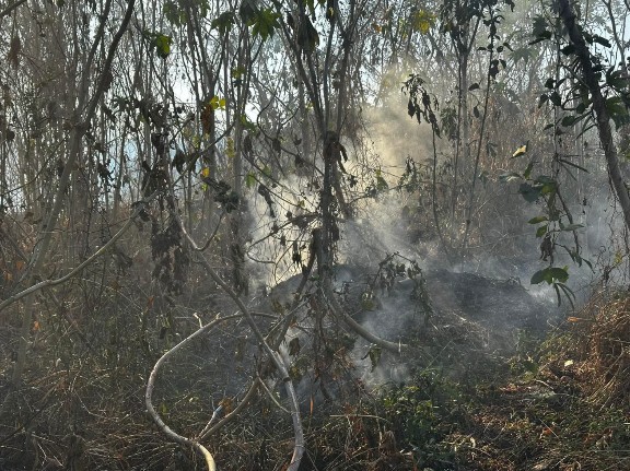 Llamado a la responsabilidad para la prevención de incendios en Santa Rosa