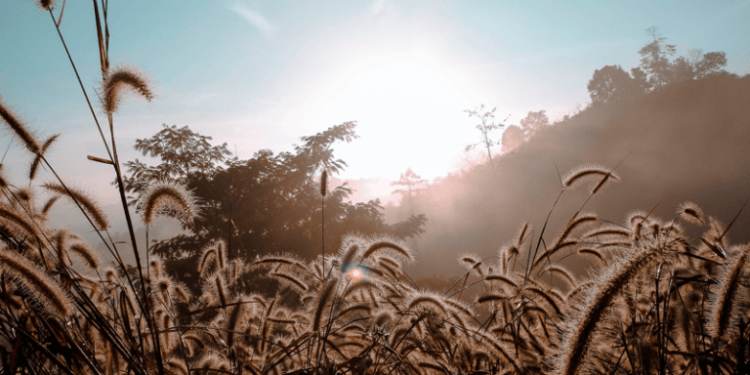 Fin de semana marcado por calor, neblina y lluvias dispersas en gran parte del país