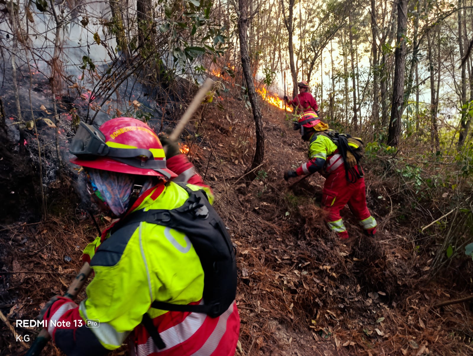 Conred llama a reportar incendios para ayudar a su combate oportuno