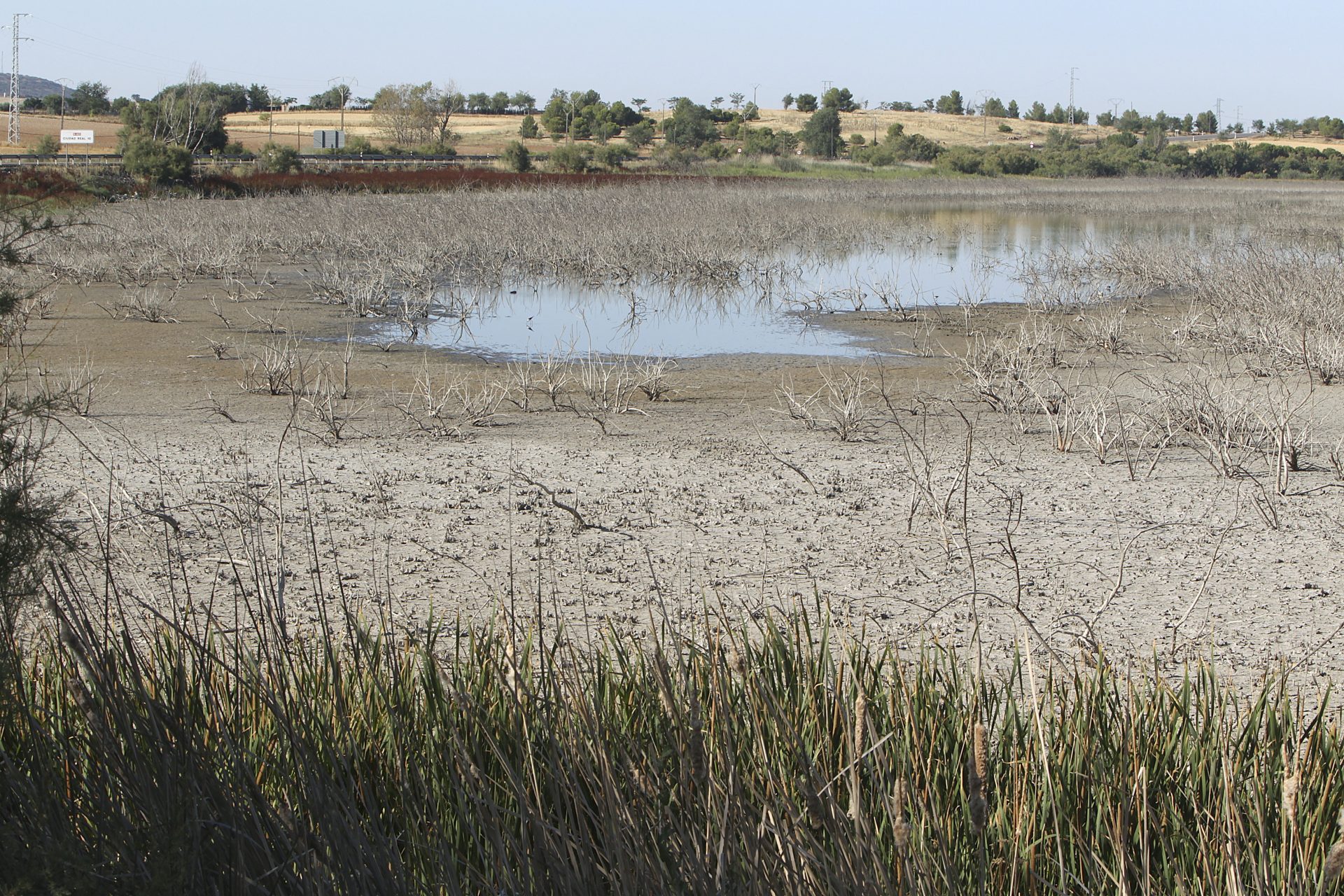 Desertificación y sequía, dos problemas ambientales convertidos en riesgos sistémicos