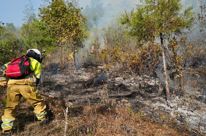 Once incendios activos se suman a los más de mil 300 incendios en lo que va del 2026